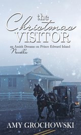 The Christmas Visitor - Amy Grochowski - 9781649602909