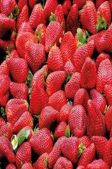 Simply Strawberry - Doras Delicious Notebooks - 9781650312460
