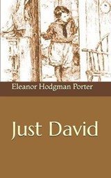 Just David - Eleanor Hodgman Porter - 9781656738974