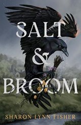 Salt & Broom - Sharon Lynn Fisher - 9781662515699
