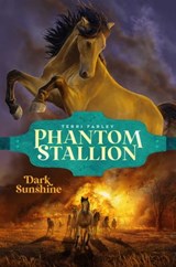 Dark Sunshine - Terri Farley - 9781665916394