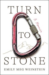 Turn to Stone - Emily Meg Weinstein - 9781668047866
