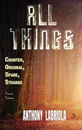 All Things Counter, Original, Spare, Strange - LABRIOLA,  Anthony - 9781681145549