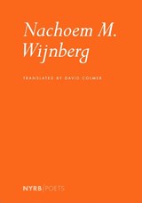 Nachoem M. Wijnberg - WIJNBERG,  Nachoem M. - 9781681376523