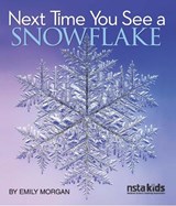 Next Time You See a Snowflake - Emily Morgan - 9781681409900