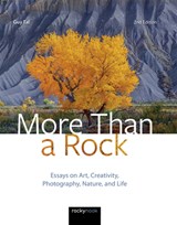 More Than a Rock - Guy Tal - 9781681986838