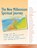 New Millennium Spiritual Journey, Skylight Paths - Paperback - 9781683362227