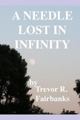 A Needle Lost in Infinity - Trevor R Fairbanks - 9781696743082
