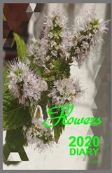 2020 Diary - A L R B Criacoes - 9781698353586