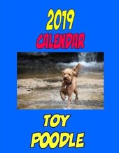 2019 Calendar Toy Poodle