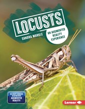 Locusts: An Augmented Reality Experience