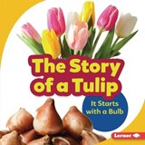 The Story of a Tulip: It Starts with a Bulb - Lisa Owings - 9781728428246