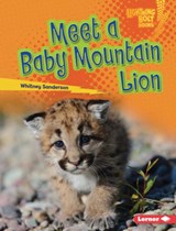 Meet a Baby Mountain Lion - Whitney Sanderson - 9781728491127