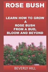 Rose Bush - Beverly Hill - 9781729355855