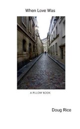 When Love Was: (A Pillow Book) - RICE,  Doug - 9781731256195