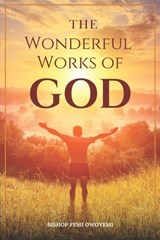 The wonderful works of God - Femi Owoyemi Bishop - 9781733233071