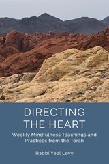 Directing the Heart - Rabbi Yael Levy - 9781733238403