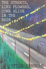 The Streets, Like Flowers, Come Alive In The Rain - Steve Denehan - 9781738273485