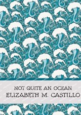 Not Quite an Ocean - CASTILLO,  Elizabeth M - 9781739151744