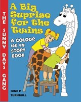 A A Big Surprise for the Twins - June Turnbull - 9781739224301