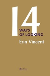 Fourteen Ways of Looking - Erin Vincent - 9781739421298