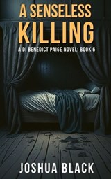 A Senseless Killing - Joshua Black - 9781739573829