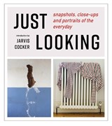 JUST LOOKING - Julian Rothenstein - 9781739597641