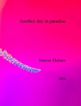 Another day in paradise - Simon Haines - 9781739875985