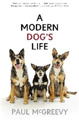 A Modern Dog's Life - Paul D. McGreevy - 9781742231051