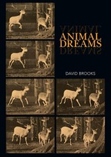 Animal Dreams - David Brooks - 9781743327470