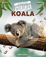 Koala - John Lesley - 9781761400155