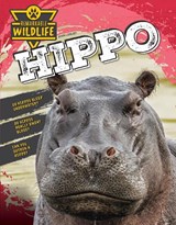 Hippo - John Lesley - 9781761402012