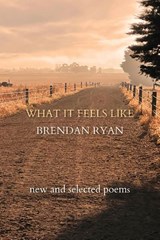 What It Feels Like - Brendan Ryan - 9781763670136