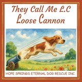 They Call Me L.C. Loose Cannon - Chris Moore - 9781764106023