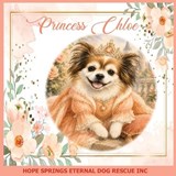 Princess Chloe - Chris Anne Moore - 9781764106047