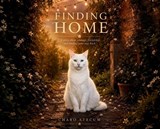 Finding Home - Charo Stecum - 9781764156332