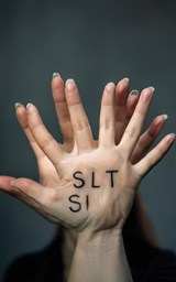 Silt - Jon Roffe - 9781764234634