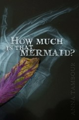 How much is that mermaid? - Anna Tambour - 9781764517201