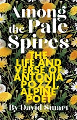 Among the Pale Spires - David Smart - 9781771607865
