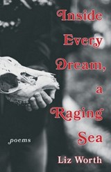 Inside Every Dream, a Raging Sea - Liz Worth - 9781771669092
