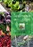 Sustenance, Rachel Rose - Paperback - 9781772141016