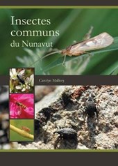 Insectes communs du Nunavut