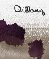 Qillaniq - Jocelyn Piirainen ; Laakkuluk Williamson ; Liisa-Ravna (Ramavuol Liisa-Ravdna) Finbog ; Nadia Jackinsky-Sethi - 9781773105086