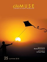 Able Muse, Summer 2018 (No. 25 - Print Edition) - Alexander Pepple - 9781773490205