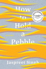 How to Hold a Pebble - Jaspreet Singh - 9781774390535
