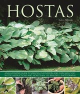 Hostas - Andrew Mikolajski - 9781780192383