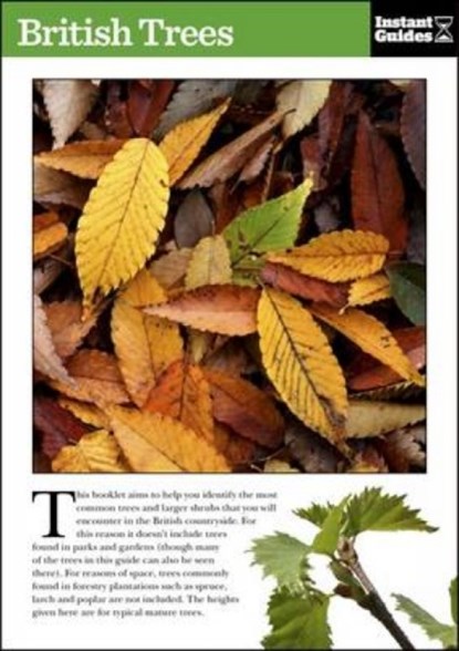 British Trees, Instant Guides - Paperback - 9781780500089