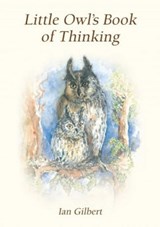 Little Owl's Book of Thinking - Ian Gilbert - 9781781354391