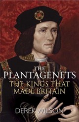 The Plantagenets - Derek Wilson - 9781782069416