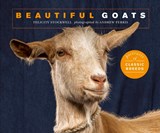 Beautiful Goats - Felicity Stockwell - 9781782409427